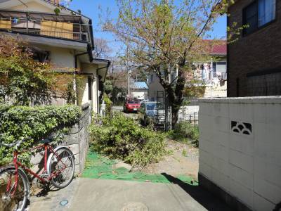 ���̖؂̙���