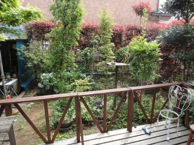 ��̗΂��L���ɁE�E