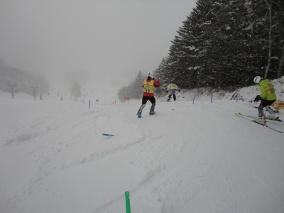 �^�~���݂̍~��