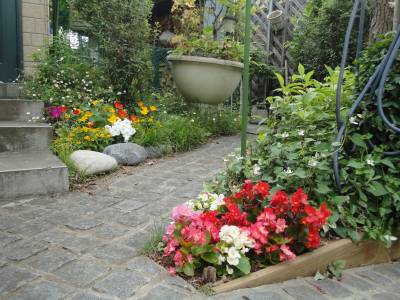 �~�J�̂܂��ɁE�E