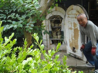 �f�āE�q�l��