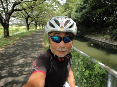 �����p��