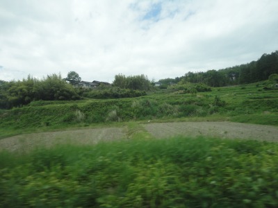 �����{��