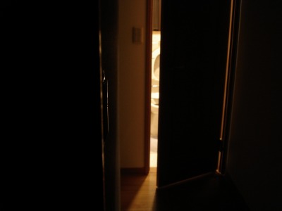 �N������́H 