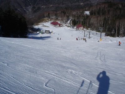 �R�o���g�o�[��