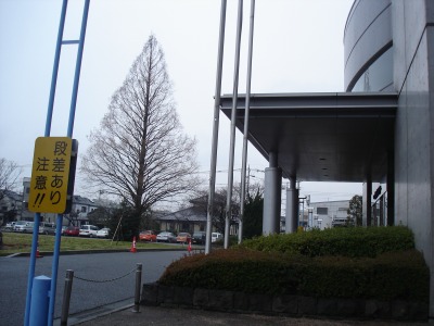 �J�̃X�|�[�c�Z���^�[