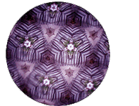 ���؋���