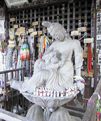 Photo/�q��ω�