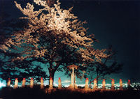 Photo/�\�O����