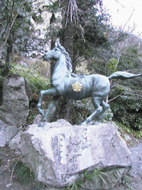 Photo/�n�̓���