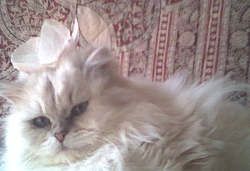 ���ԂƂ���