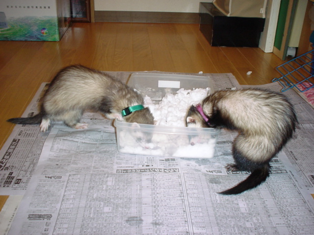 �R�R�A���`�r