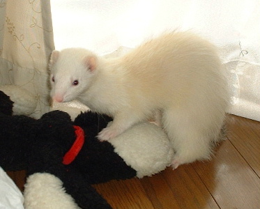 �������1