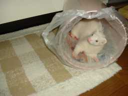 �������2