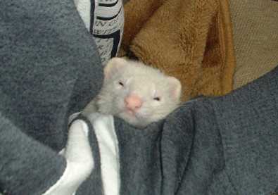 �������4