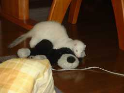 �������3