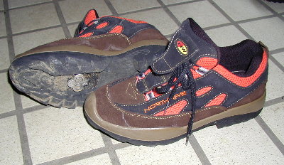 �I�����W