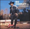 Bo Diddley / Bo Diddley Is Gunslinger (Geffin) CD \1690-