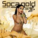 V.A. / Soca Gold 2007 (VP) LP\1790-