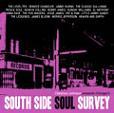 V.A. / South Side Soul Survey (Soulscape) CD \2490-