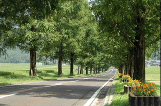 �N���b�N����ƐÎ~���\�����܂�