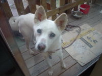 ������ł��B