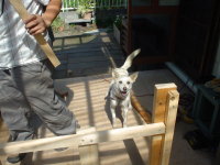 �p�p������������Ă���Ă܂��B