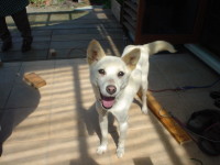 �Ф����������顣