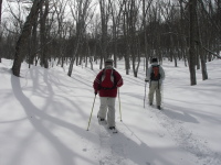 �X�̒����s��