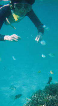 �}�����K�[�����B