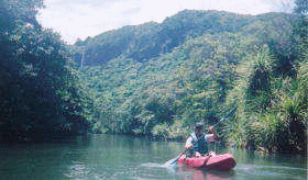 ���炢���܂́C�J�k�[�����܂��̂��B