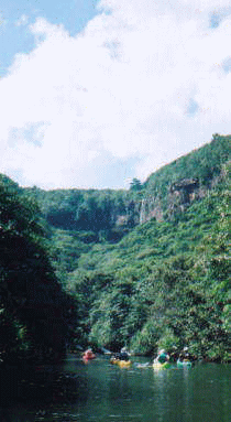 �J�k�[�ő�֌������̂��B