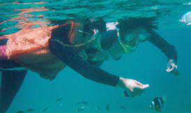 �a�t���V���[�B