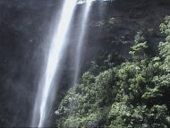 �s�i�C�T�[���̑�C�����B