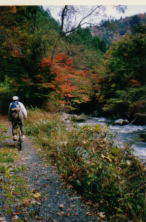 �Ԋѐ�̎x�������B�g�t�������B