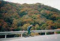 �l���_���������s���B�g�t�������B