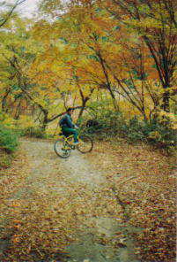 �܂��ɗ����t�̃��[�h�ł���B