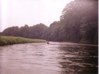 �߉ϐ�̉��₩�ȗ���B