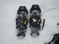 ���ꂪ�C�X�m�[�V���[�B