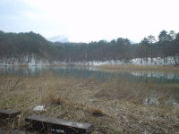 �����B�ނ����͔֒�R���B