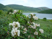 ���Ⴍ�Ȃ��Ɗ���