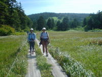 ��]�����ł���B