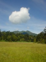 �ۂ�����_�����P�x�B