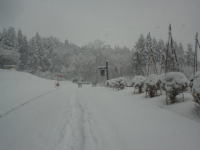 ������������ɂ͂���܂����B