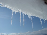 ��炪�Y��ł���B