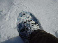 ���ꂪ�C���g�p�̃X�m�[�V���[�ł���B