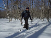 �X�̒������邭�B