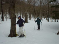 �X�̒��̐�ʂ��̂�т�Ɛi�ށB