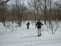 �X�̒������邭�B