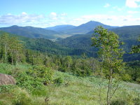 ���������������Ă����B